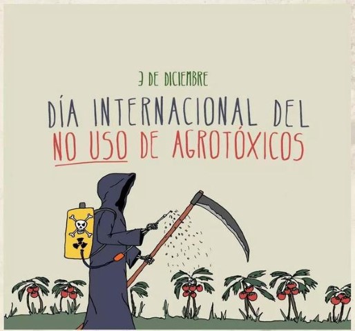 Resultado de imagen para dian internacional contra plaguicidas