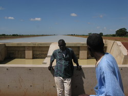 Descripción: Líderes campesinos de Sexagon, una organización de agricultores de Office du Niger, Mali ubicados al final del canal Malibya de 40 km de largo.