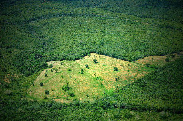 amazonia_deforestada.jpg