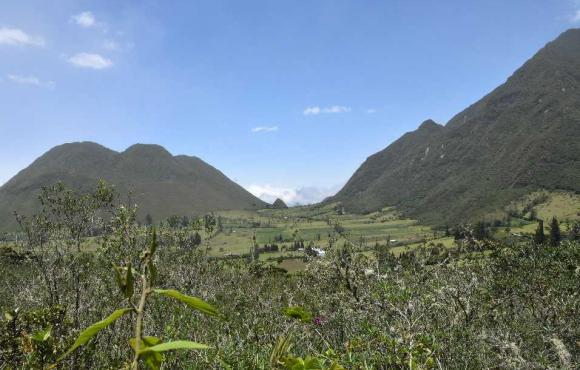 Biodiversidad Clave Del Desarrollo Sustentable Del Ecuador