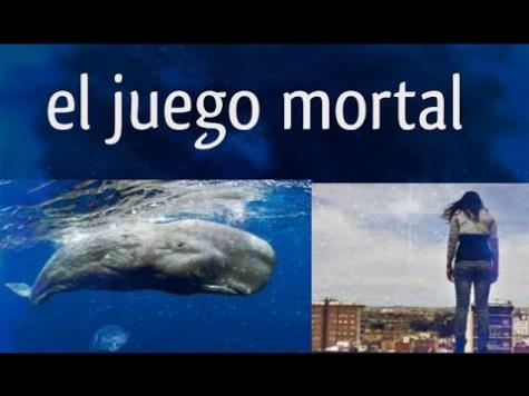 Dibujos De Ballenas Para Colorear