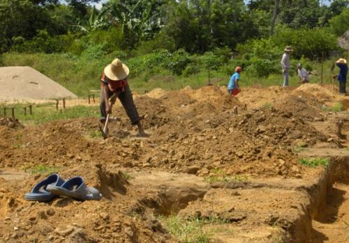  campesinos labrando tierra