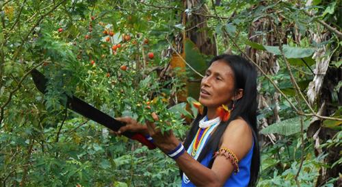 2_zhcindigenouspeoples-620x338.jpg