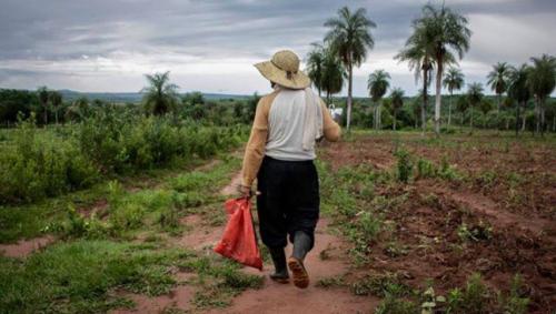 agricultor-646x366.jpg