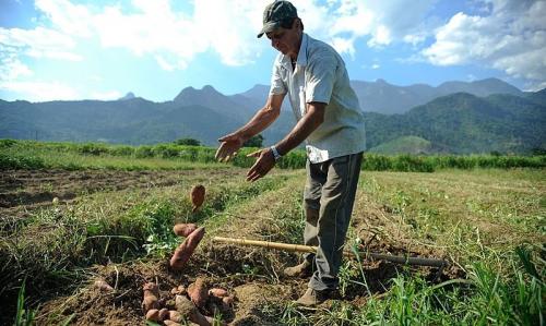 agricultura.jpg