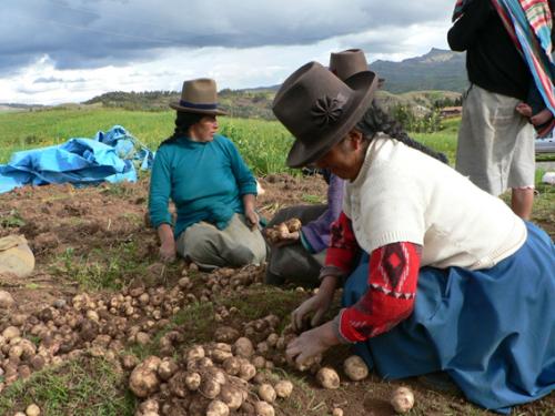 agricultura_mujeres_peru.png