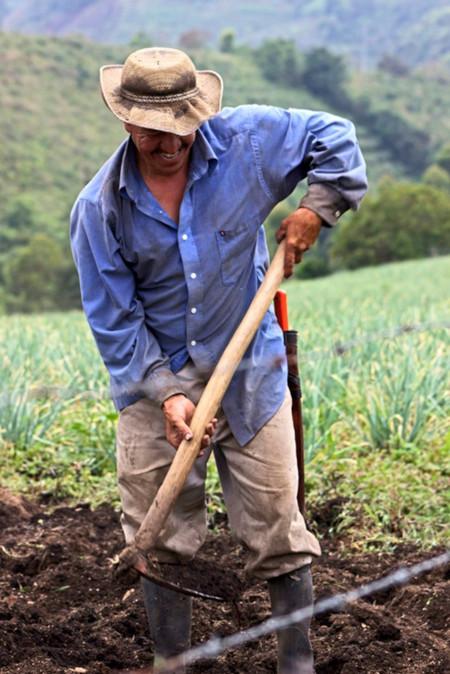 agroecologia.jpg