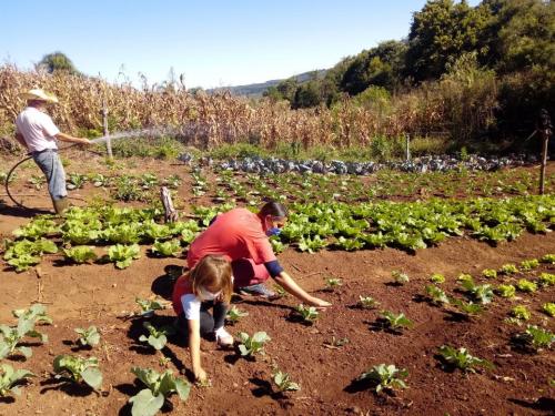 agroecologia_tierra.jpg