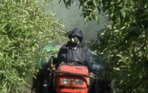 agroquimicos_agrotoxicos.jpg