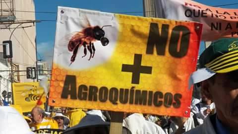 agrotoxicos.jpg