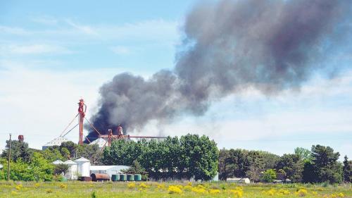 agrotoxicos_argentina.jpg