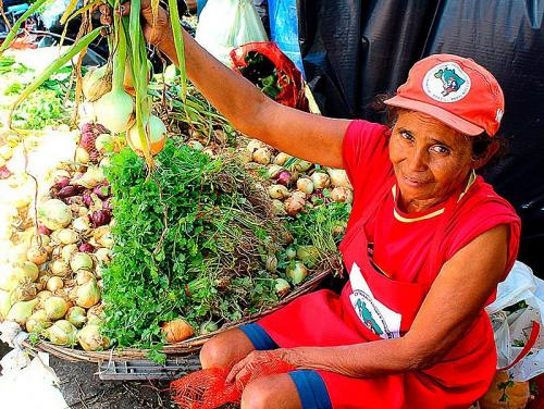 alimentos.jpg