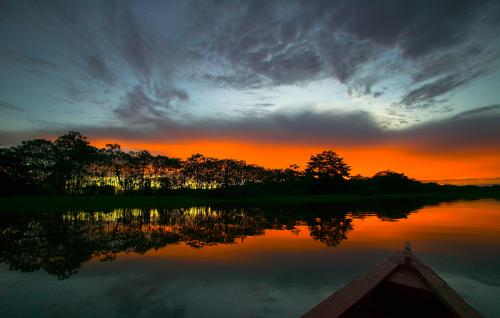 amazonia-ecuador.jpg