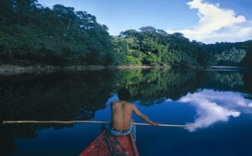 amazonia-peru.jpg