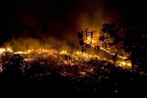 amazonia_ambiente_incendios.jpg