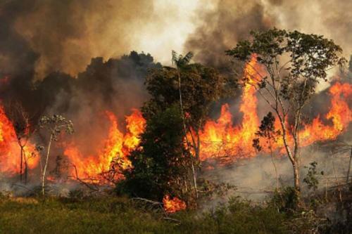 amazonia_ambiente_incendios.jpg