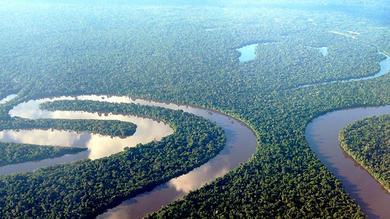 amazonia_peru.jpg