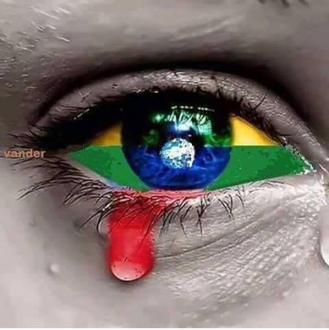 aprova aprova