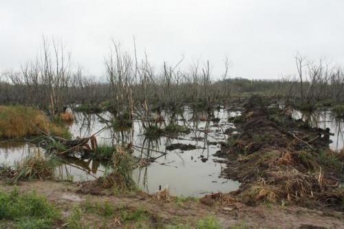 argentina_ambiente.jpg