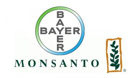 bayer-monsanto.jpg