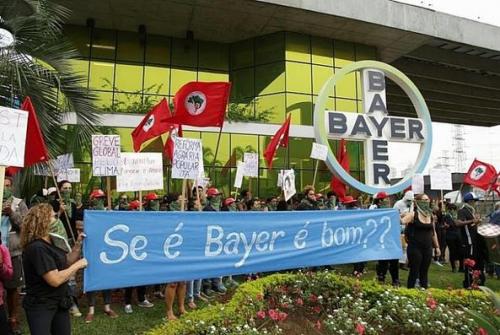 bayer.jpg