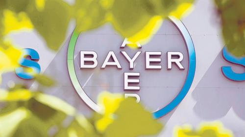 bayer_corporaciones.jpg