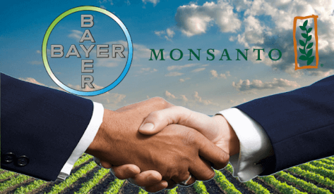 bayer_monsanto.png