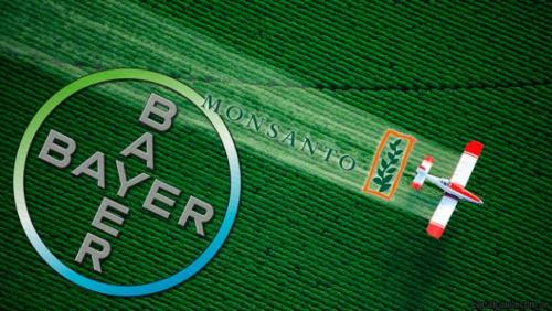 bayer_monsanto.jpg