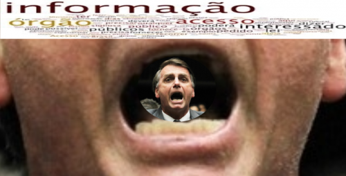 bolsonaro.png