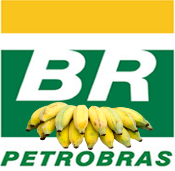 br_petrobras.png