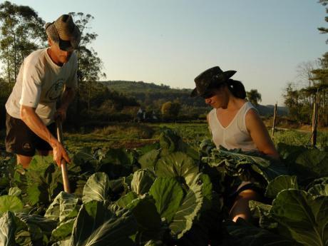 Apesar das dificuldades há milhares de jovens brasileiros inovando e gerando renda no campo (Foto: Ascom/MDA) brasil campesinos