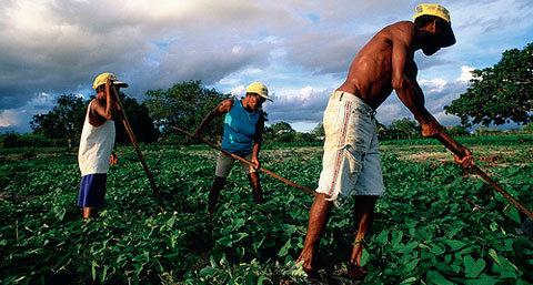 brazilagriculture.jpg