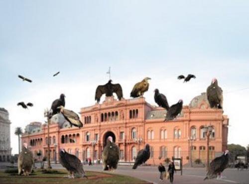  buitres casa rosada argentina