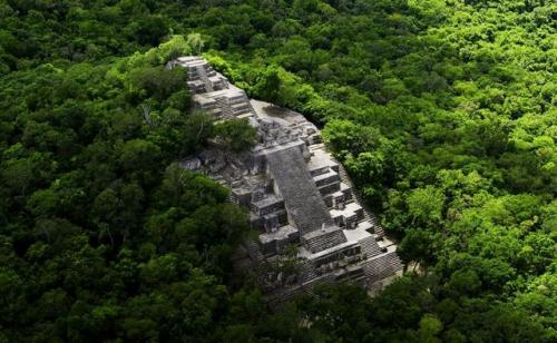 calakmul_-_wikipedia.jpg