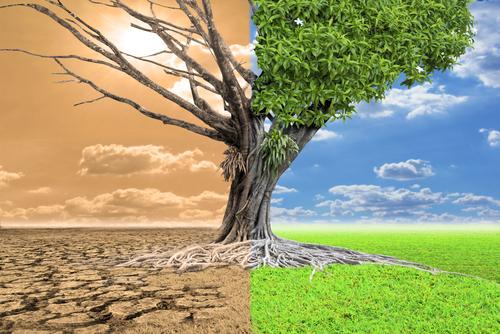 cambio_climatico_ambiente.jpg cambio_climatico_ambiente.jpg