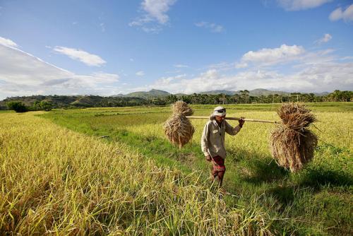 O Fórum Mundial sobre Acesso à Terra e aos Recursos Naturais será realizado em Valencia, na Espanha campesino recursos naturales agricultura