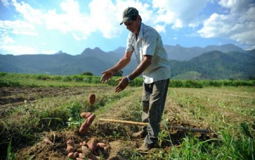 campesino_brasil.jpg