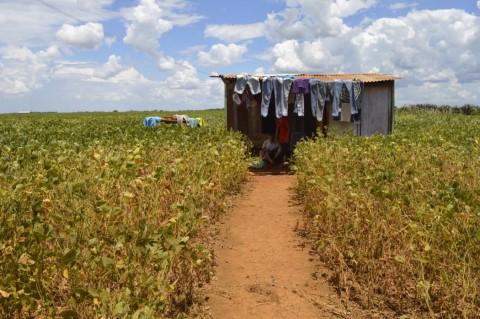 campesino_paraguay_foto_ines_franceschelli_mobile.jpg