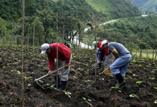 campesinos_ecuador_640x436.jpg