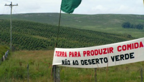 campo.png
