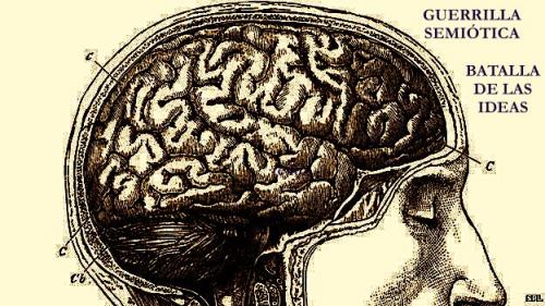 cerebro.jpg cerebro.jpg