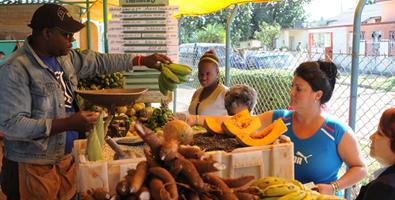 comercio_cuba_agro.jpg