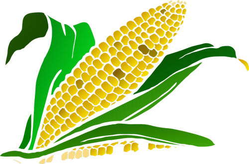 Imagen: Pixabay.com corn 296956 1280 pixabay Imagen: Pixabay.com corn 296956 1280 pixabay