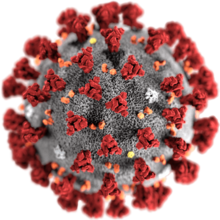 coronavirus_-_wikipedia.png