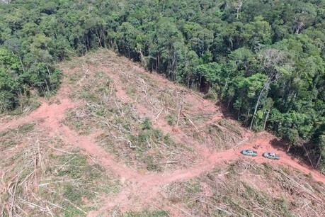 deforestacion.jpg