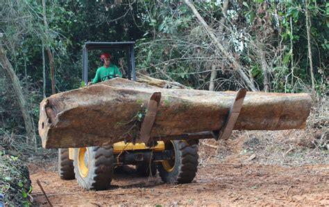 deforestacion_extractivismo.jpg