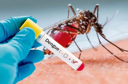 dengue_salud.jpg