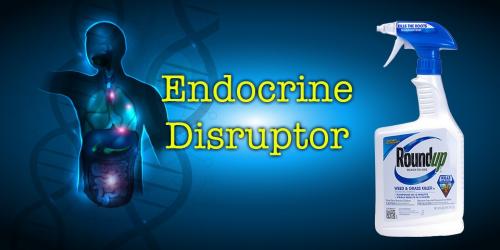 endocrine.jpg