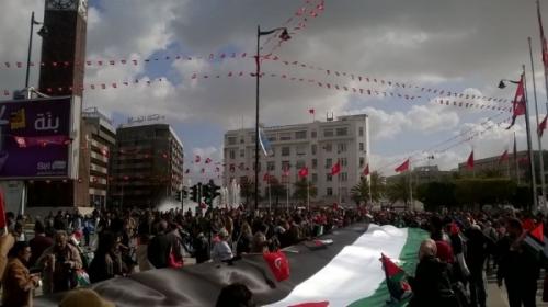 Alex Cardoso  Bandeiras e movimentos em defesa da Palestina image001