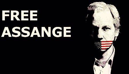  free assange